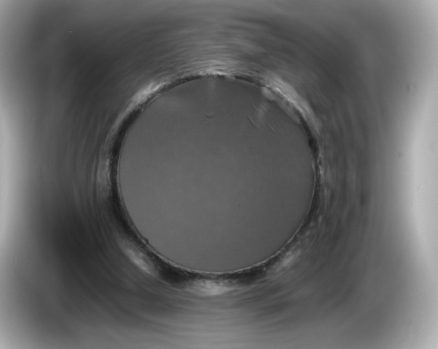 X0000086010250200704091100