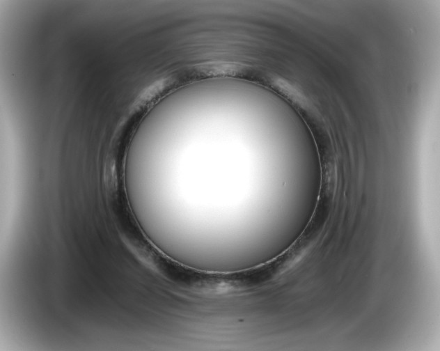 X0000086010254200704091101