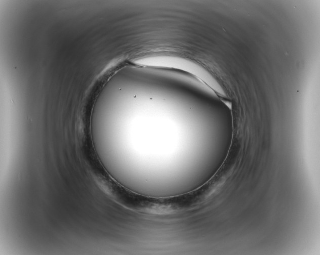 X0000086010256200704091101