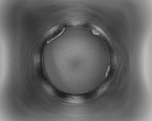 X0000086010260200704091101