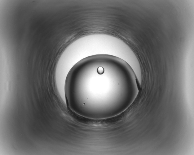 X0000086010264200704091101