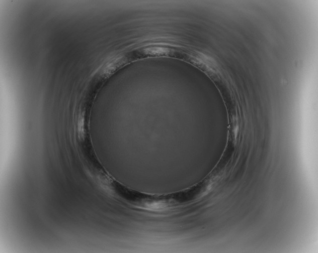 X0000086010267200704091101