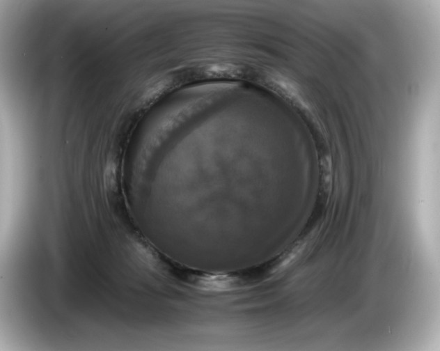 X0000086010269200704091101