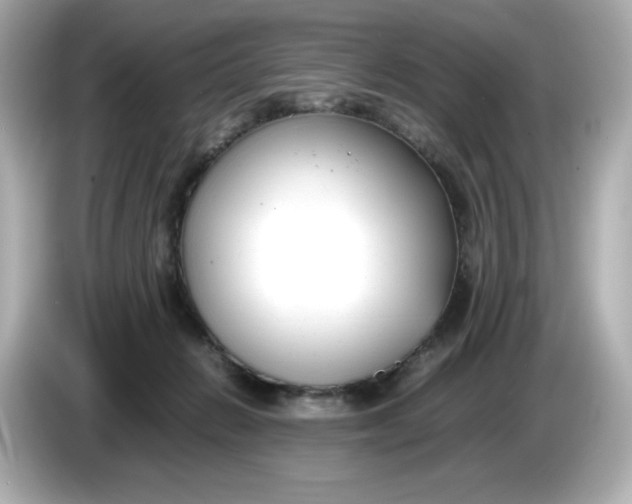 X0000086010270200704091101