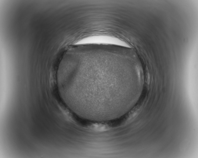 X0000086010272200704091101