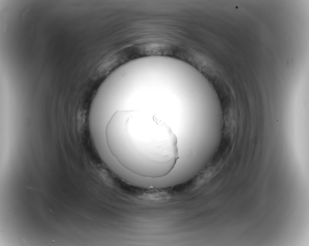 X0000086010278200704091101