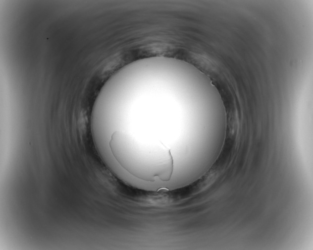 X0000086010279200704091101