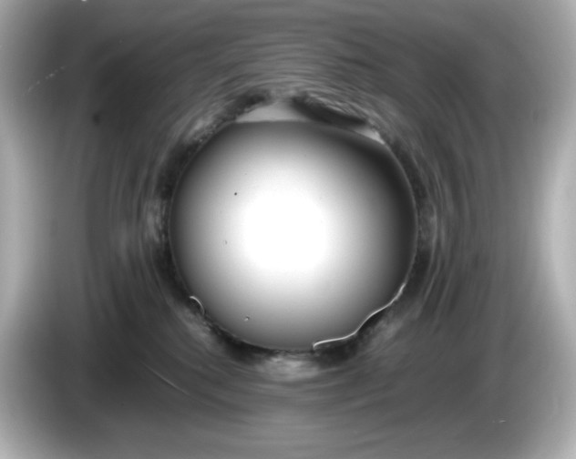 X0000086010280200704091101