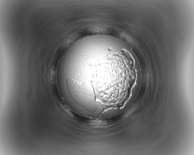 X0000086010281200704091101