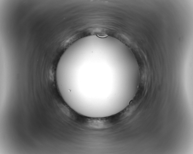 X0000086010282200704091101