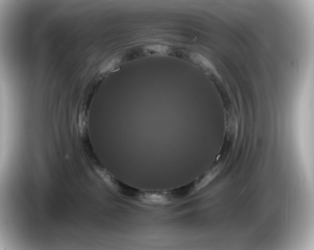 X0000086010285200704091101