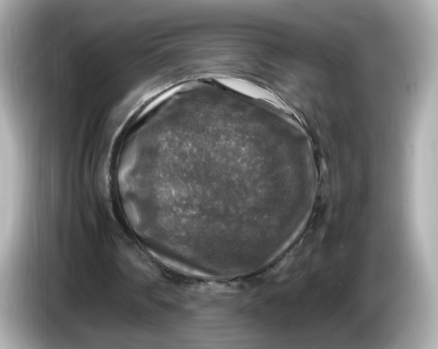 X0000086010290200704091100