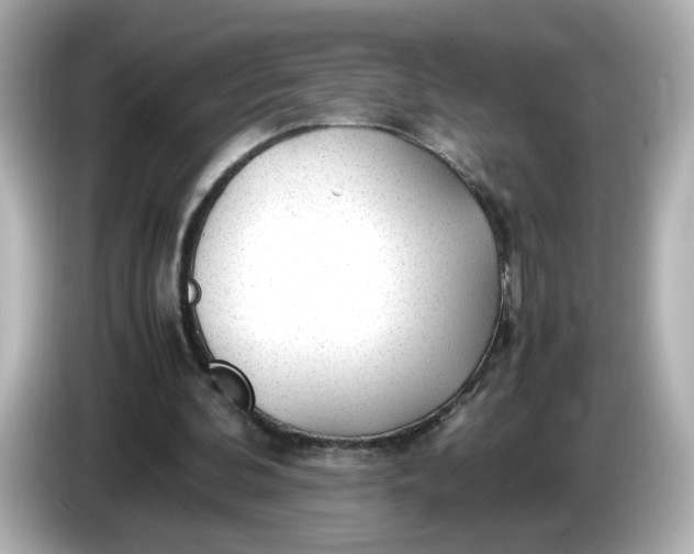 X0000086010292200704091100