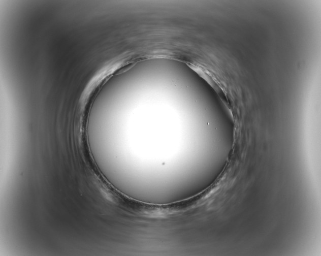 X0000086010293200704091100