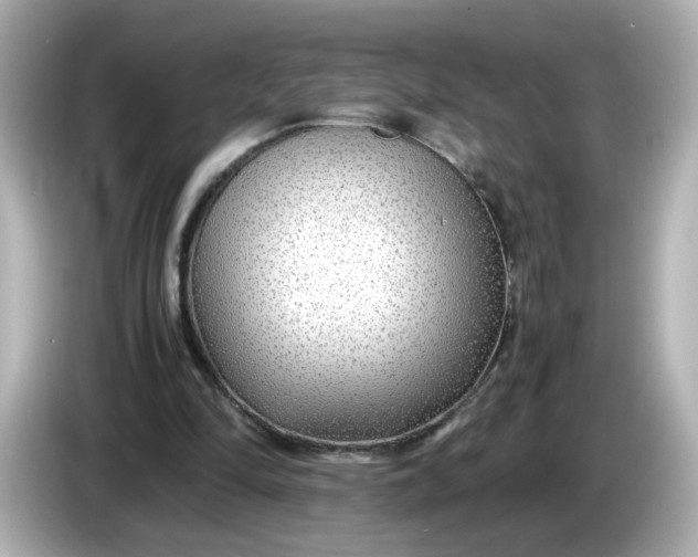 X0000086010294200704091100