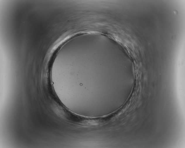 X0000086010295200704091100