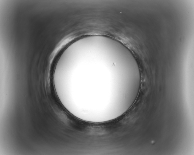 X0000086010296200704091100