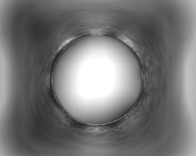 X0000086010297200704091100