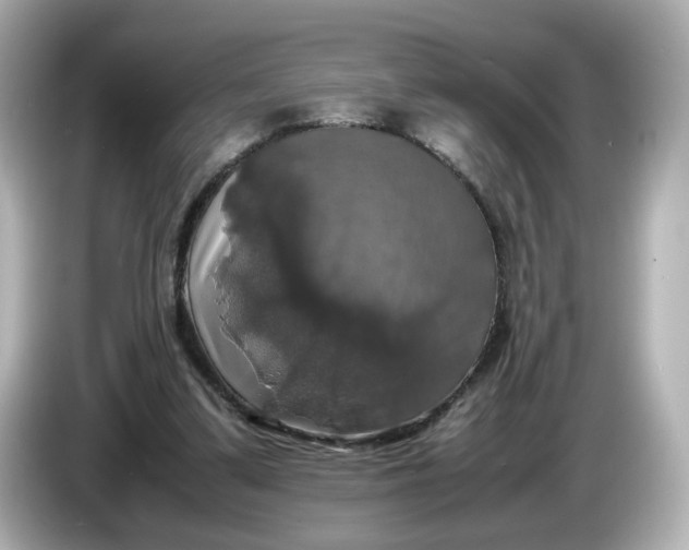 X0000086010299200704091100