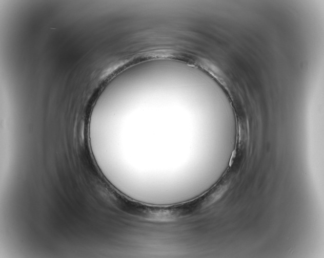 X0000086010301200704091100