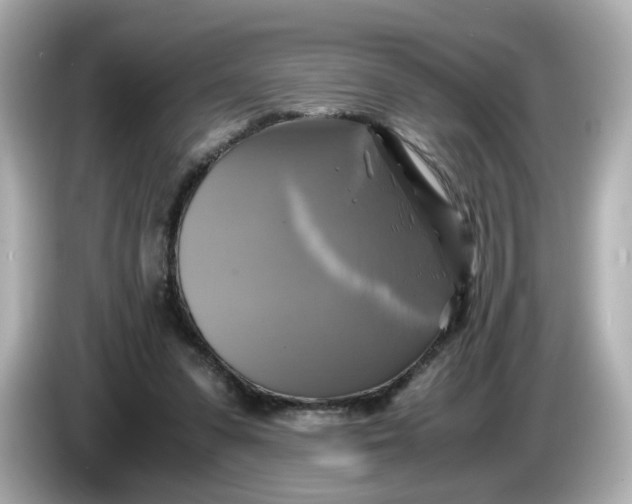 X0000086010303200704091100