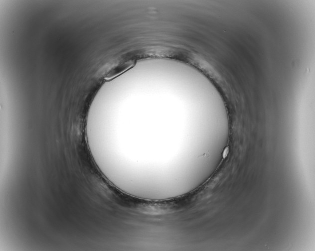 X0000086010305200704091100