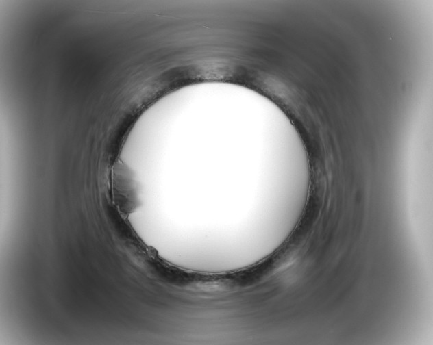X0000086010307200704091100