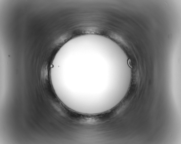 X0000086010310200704091100