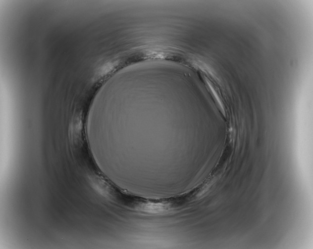 X0000086010314200704091100