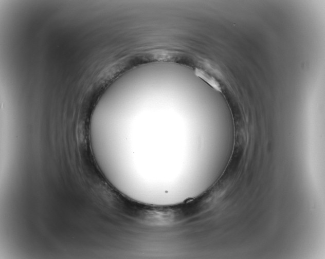 X0000086010317200704091100