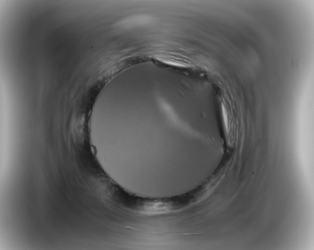 X0000086010319200704091100