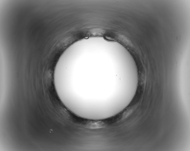 X0000086010321200704091100