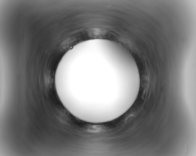 X0000086010324200704091100