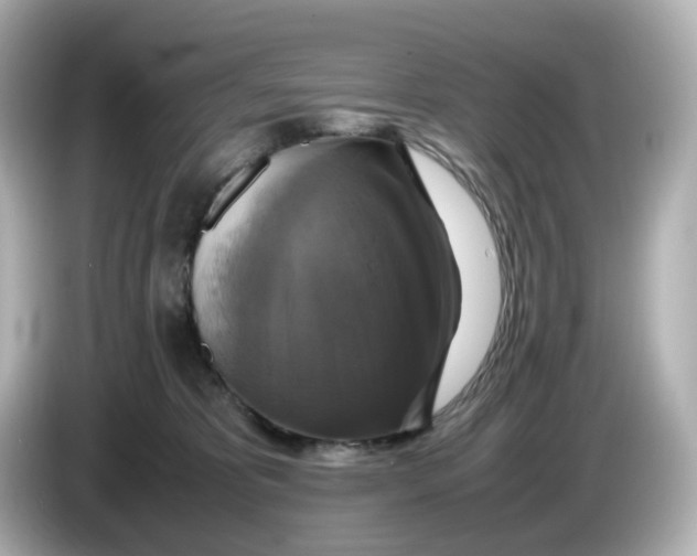X0000086010325200704091100