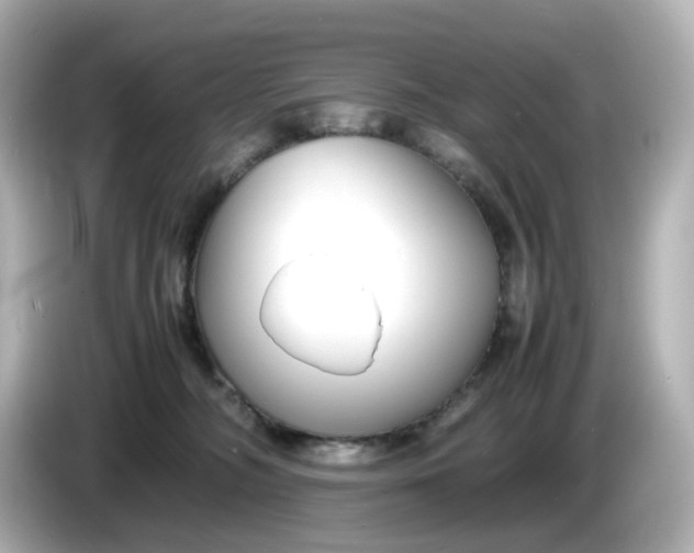 X0000086010326200704091100