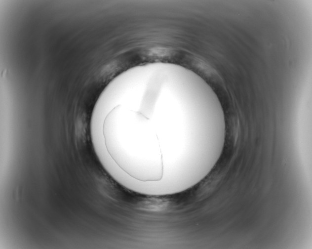 X0000086010328200704091100