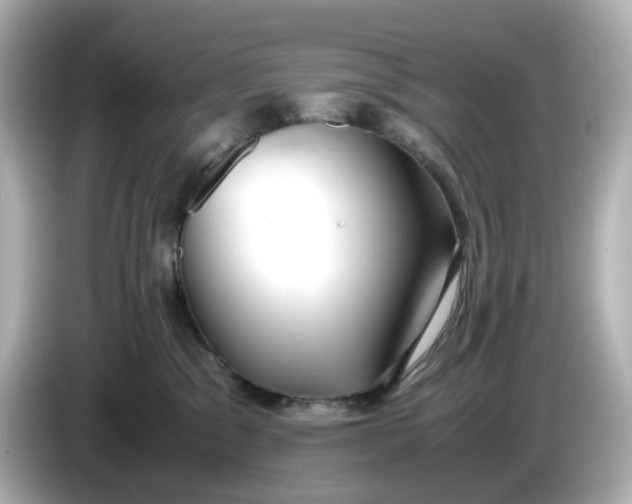 X0000086010329200704091100