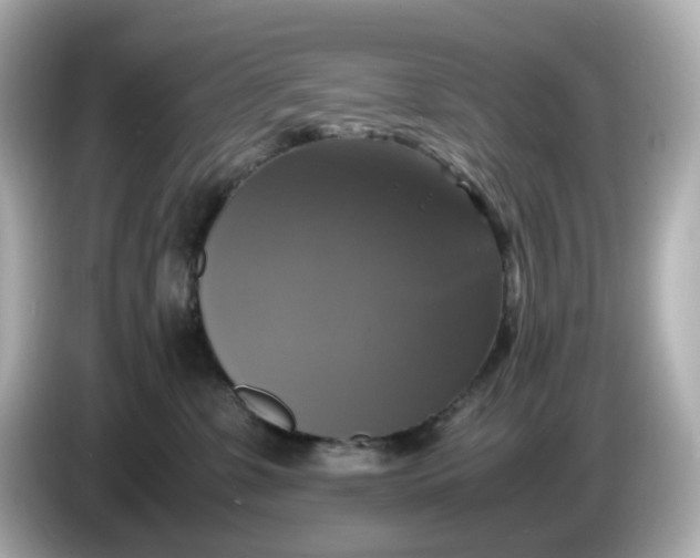 X0000086010331200704091100
