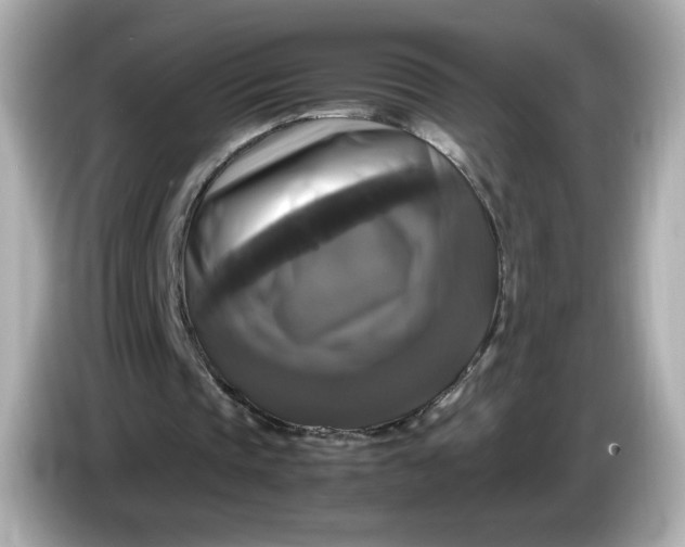 X0000086010337200704091059