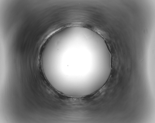 X0000086010338200704091059