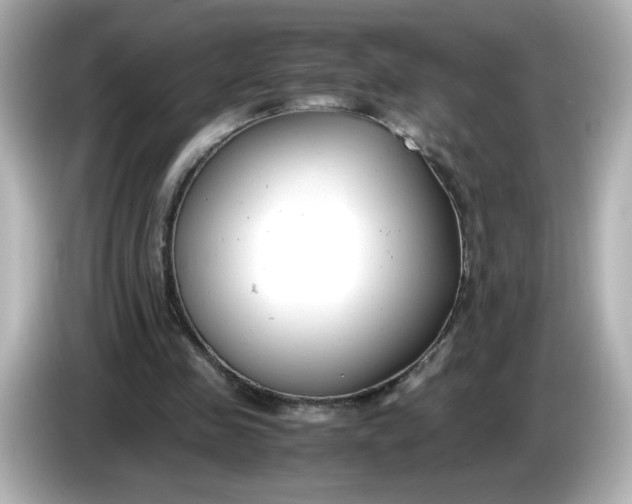 X0000086010341200704091059