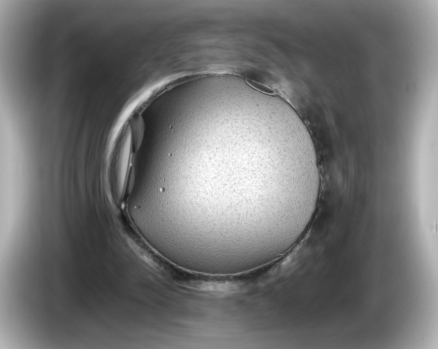 X0000086010342200704091059