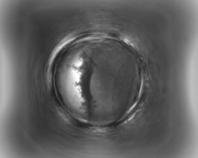 X0000086010343200704091059