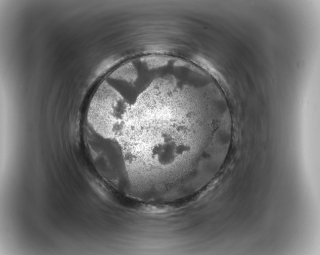 X0000086010346200704091059