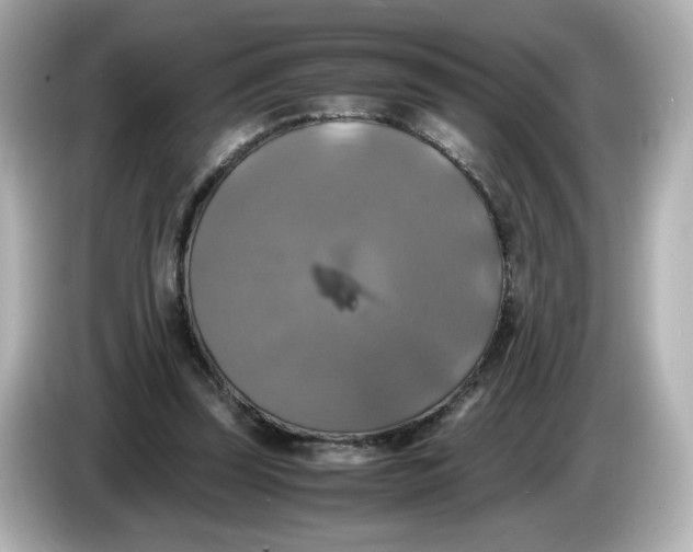 X0000086010347200704091059