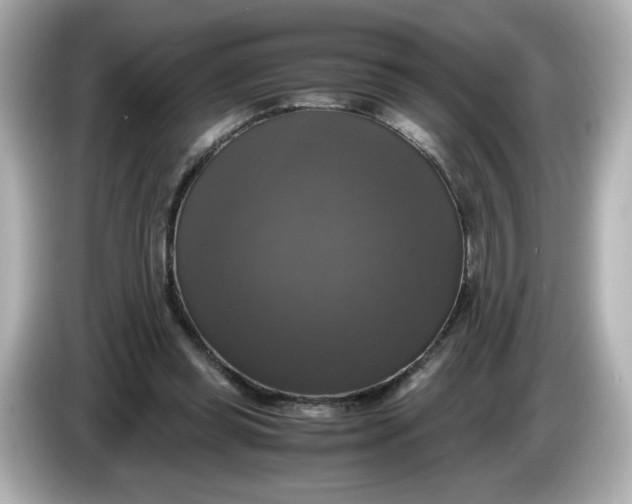 X0000086010349200704091059