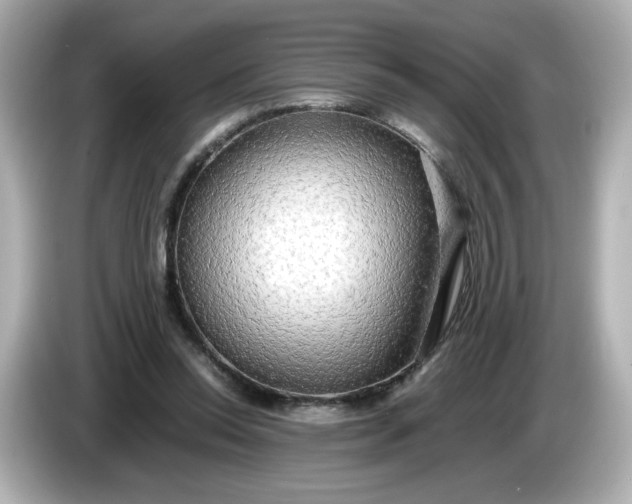 X0000086010350200704091059