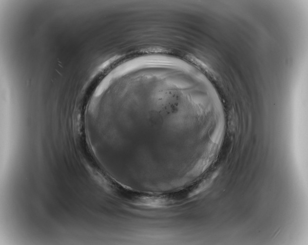 X0000086010351200704091059