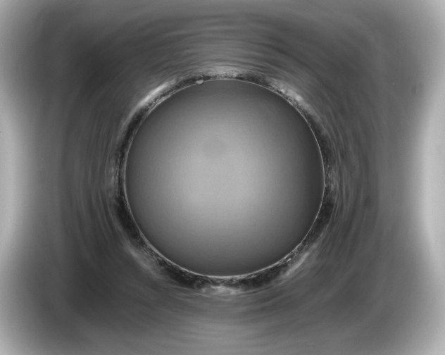 X0000086010352200704091059