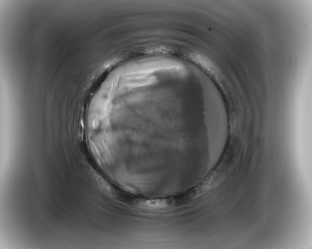 X0000086010353200704091059